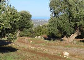 Tranquil Villa in Apulia