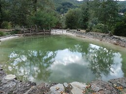 Tranquil Tuscan Retreat