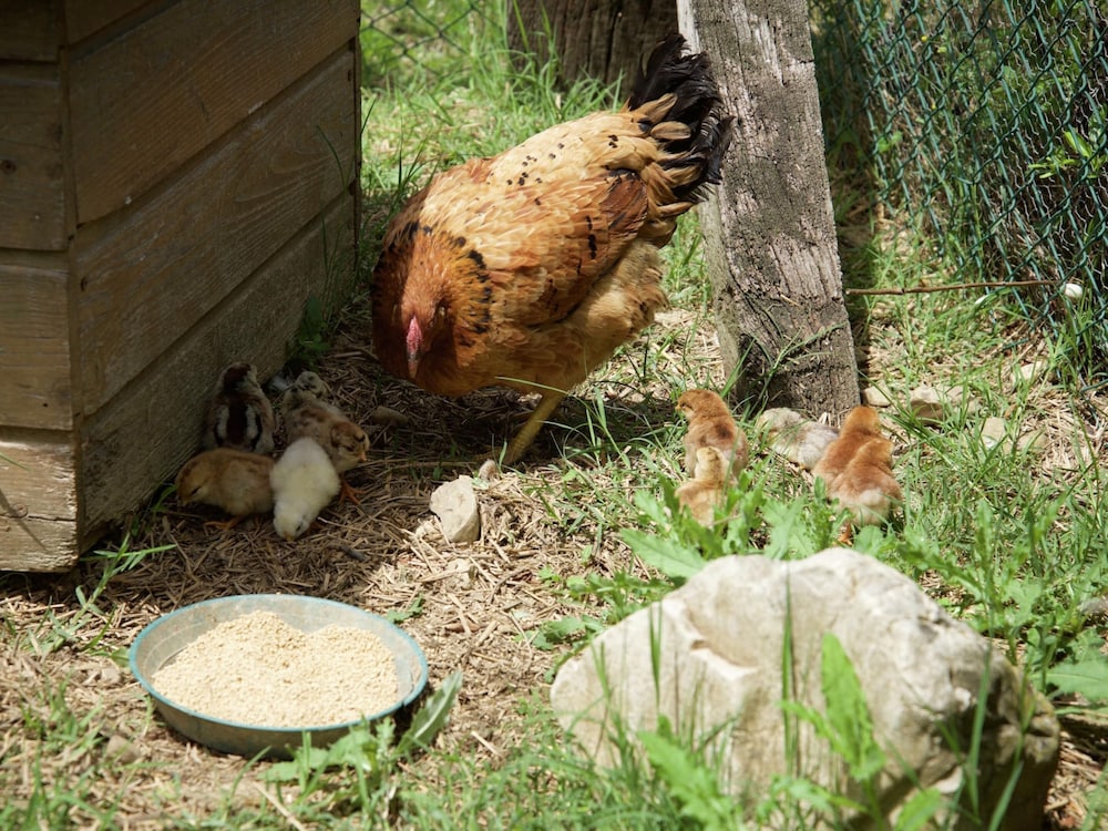Charmante Escape in Todi
