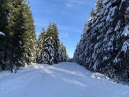 Beautiful Chalet Near the Forest in Malmedy