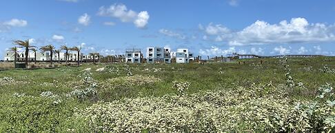 Lively Beach