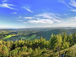 Ferienwohnung mit Talblick in Todtmoos
