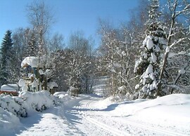 Wohnung in Bayerisch Eisenstein mit Garten