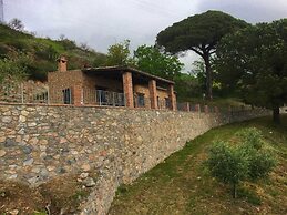Pet-friendly Farmhouse
