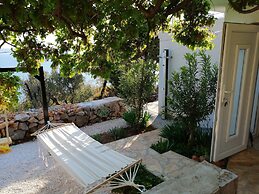 House Anica