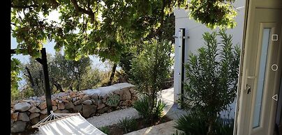 House Anica