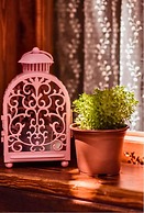 Lily Town Guest House