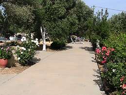 Villa in Crete Near Beach and Olive Groves