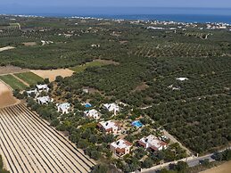 Villa in Crete Near Beach and Olive Groves