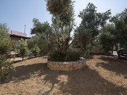 Villa in Crete Near Beach and Olive Groves