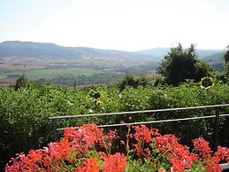 Farmhouse in Proceno With Panoramic Pool