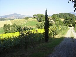 Farmhouse in Proceno With Panoramic Pool