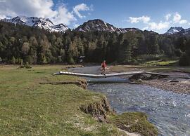 Chalet Alpina