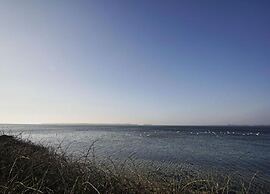 Cozy Stay by Wiek Harbor
