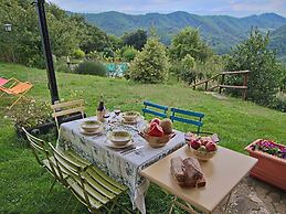 Holiday Home in Apecchio With Pool & Terrace