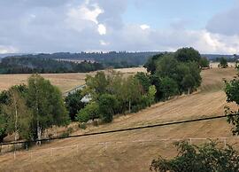 Holiday Home Moselle With Private Sauna