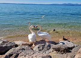 Villa in Lazise With Lake Garda Views