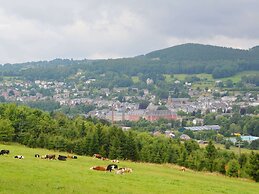 Pet-friendly Villa in Ondenval