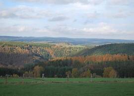 Holiday Home in Houffalize Near Nisramont