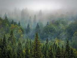 Lodge in Oignies Forest With Eco Design
