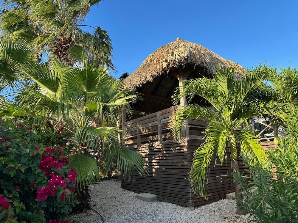Villa in Jan Thiel With Private Pool