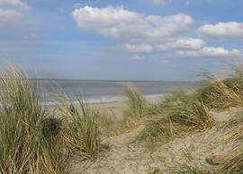 Detached Singlestorey Bungalow Near Ostend