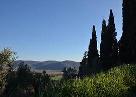 Elegant Villa Near Cortona