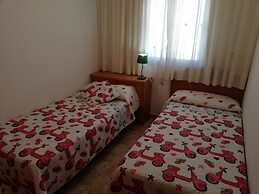 49033593