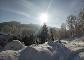 Lavish Cottage near Ski Area in Cerny Dul