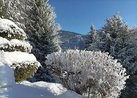 Lavish Cottage near Ski Area in Cerny Dul