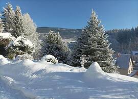 Lavish Cottage near Ski Area in Cerny Dul