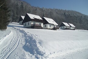 Mansion in Starkov Near Acitvities