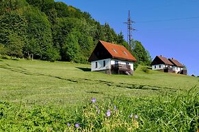 Mansion in Starkov Near Acitvities
