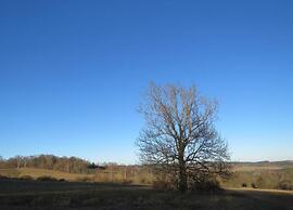 Holiday Home Milire Bohemian Forest