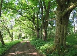 Holiday Home Milire Bohemian Forest