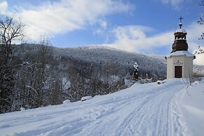 Apartment Near Ski Slopes