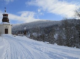 Apartment Near Ski Slopes
