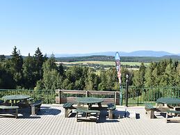 Chalet in Dolni Brusnice Near Ski Lift
