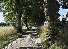 Wohnung Nahe Ostsee Kuhlungsborn