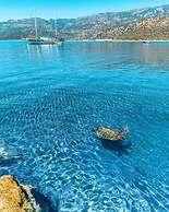Yildiz Apart