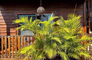 Ecoco Holbox - Ecochic - Holbox Retreat - Adults Only