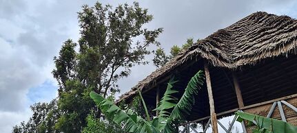 View Mountain House - Backpackers