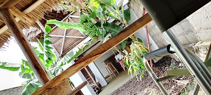 View Mountain House - Backpackers