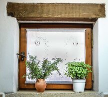 Villa in Crete With Vineyard Experience