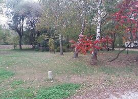 Apartment in Slivnica With Private Pool