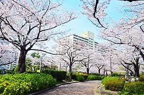 Rc Annex 2
