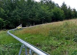 Olsberg Apartment Close to Ski Slopes