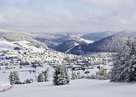 Olsberg Apartment Close to Ski Slopes