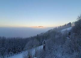 Olsberg Apartment Close to Ski Slopes