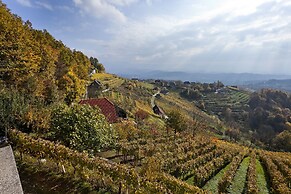 Vineyard cottage Ucman